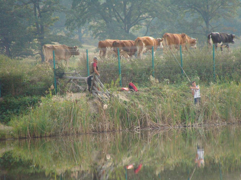 2012 - 69419104458453084053885137424n.jpg